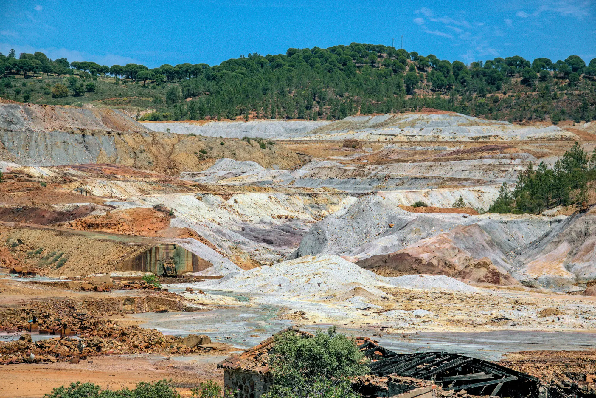 Pale and rust-colored mine waste ground below a pine ridge